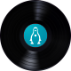 Vinil